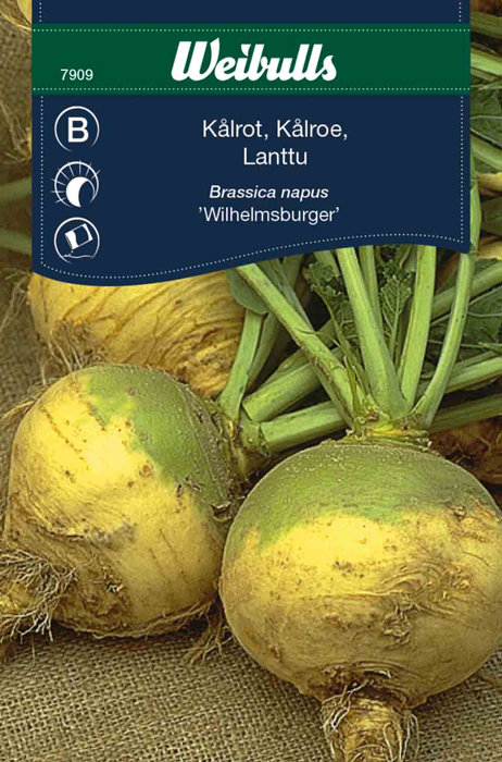 Kålroe 'Wilhelmsburger'